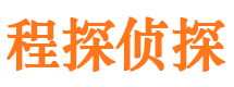 贾汪侦探公司